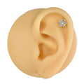 Gold CZ Flower Titanium Flat Back Stud image 0