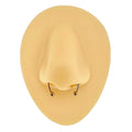 Gold Fake Septum Magnetic Horseshoe image 0