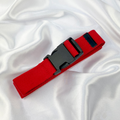 Red Buckle Belt image 0