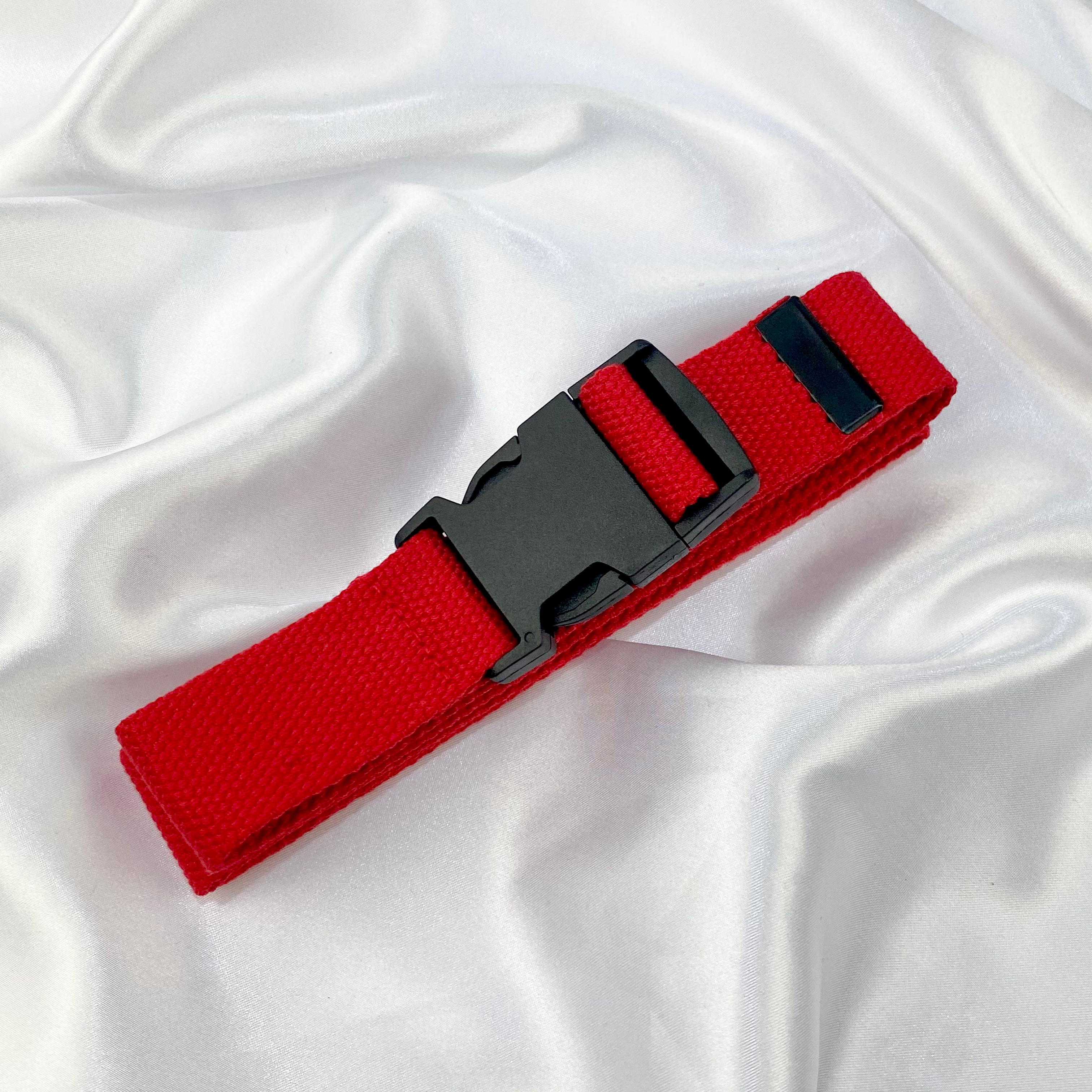 Red Buckle Belt image 0