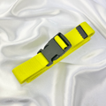 Yellow Buckle Belt image 0