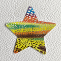 Funky Silver Dotted Star Nipple Covers image 0