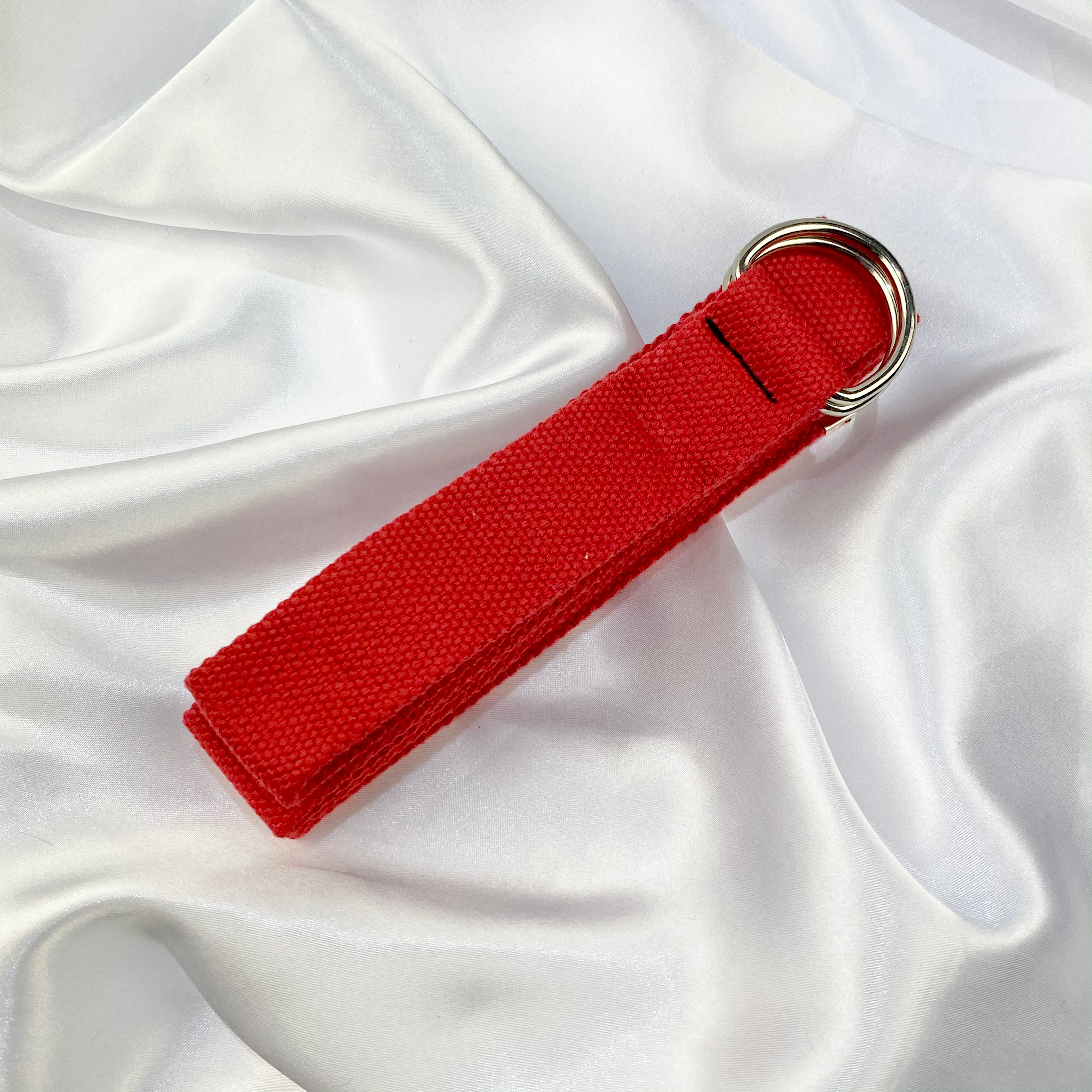 Red D Ring Belt image 0