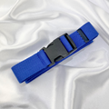 Blue Buckle Belt image 0