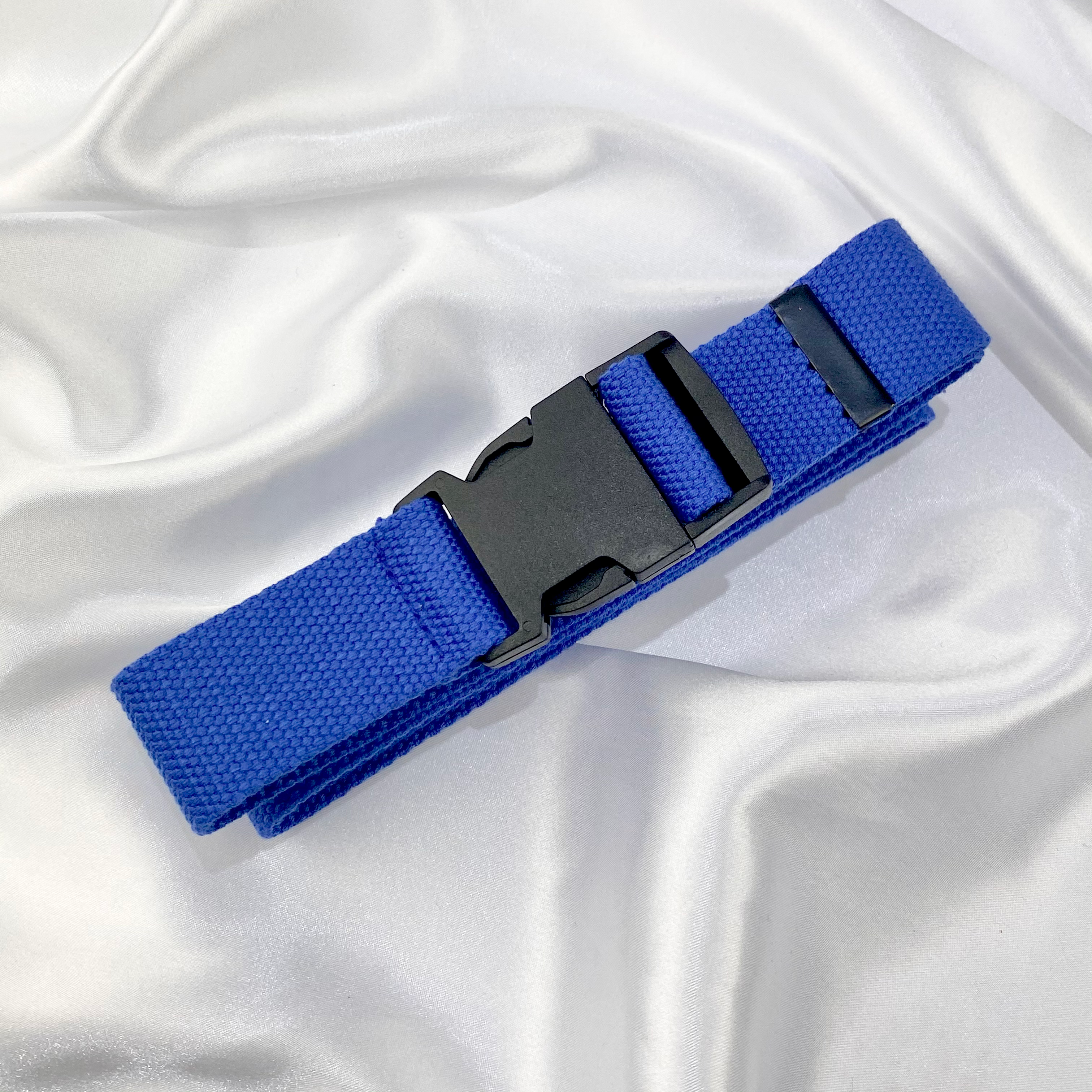 Blue Buckle Belt image 0