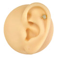 Gold CZ Paved Turtle Flat Back Stud image 0