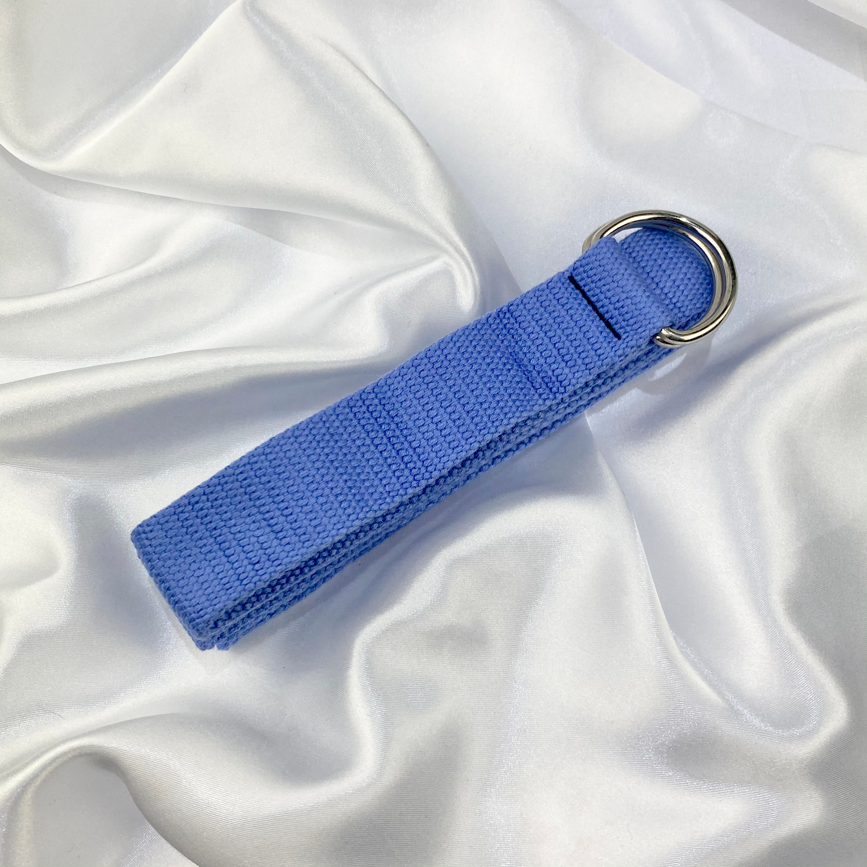 Blue D Ring Belt image 0