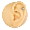 Silver CZ Paved Turtle Flat Back Stud image 0