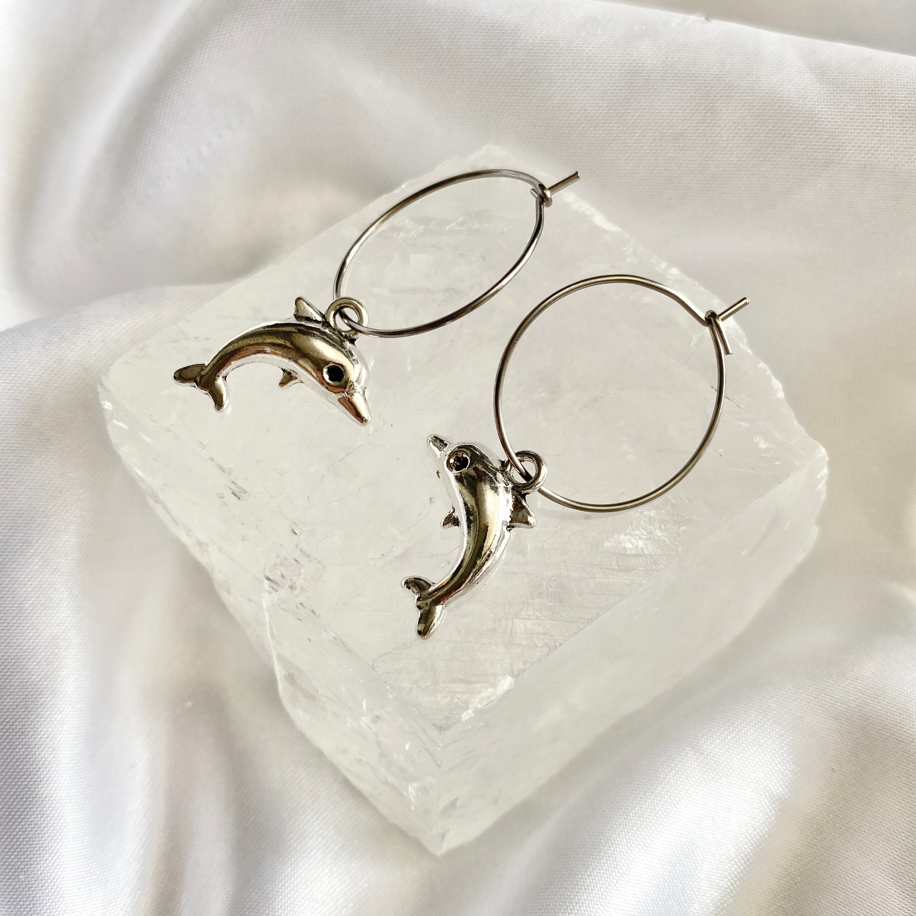 Dolphin Hoop Earrings image 0
